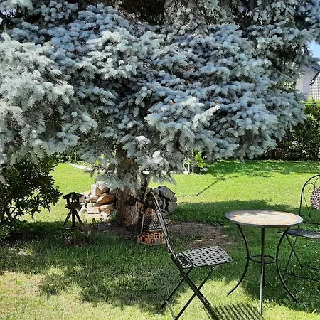 Διαμέρισμα Koenig Niedergurig Bei Bautzen Malschwitz